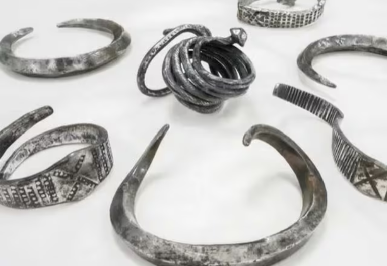 Danish College Student Discovers Ancient Viking Jewellery With Metal Detector